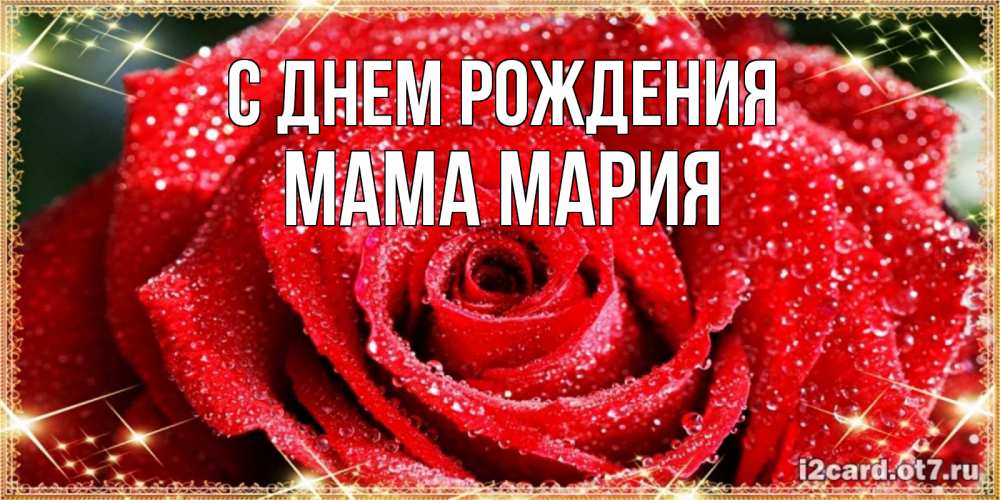 Открытка на каждый день с именем, Мама-Мария С днем рождения роса и роза. открытка с красивой розой Прикольная открытка с пожеланием онлайн скачать бесплатно 