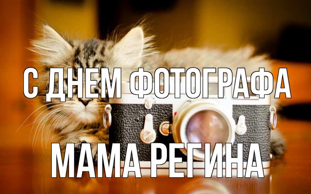 Открытка на каждый день с именем, Мама-Регина С днем фотографа с днем фотографа Прикольная открытка с пожеланием онлайн скачать бесплатно 