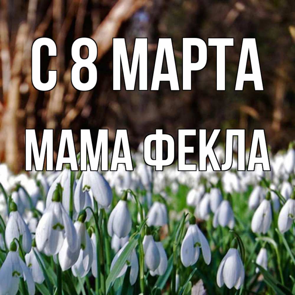 Открытка на каждый день с именем, Мама-Фекла С 8 МАРТА с подснежниками 1 Прикольная открытка с пожеланием онлайн скачать бесплатно 