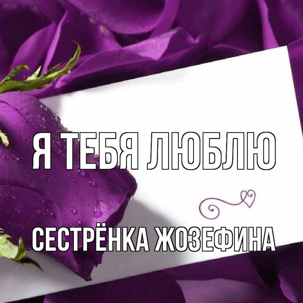 Открытка на каждый день с именем, Сестрёнка-Жозефина Я тебя люблю роза Прикольная открытка с пожеланием онлайн скачать бесплатно 