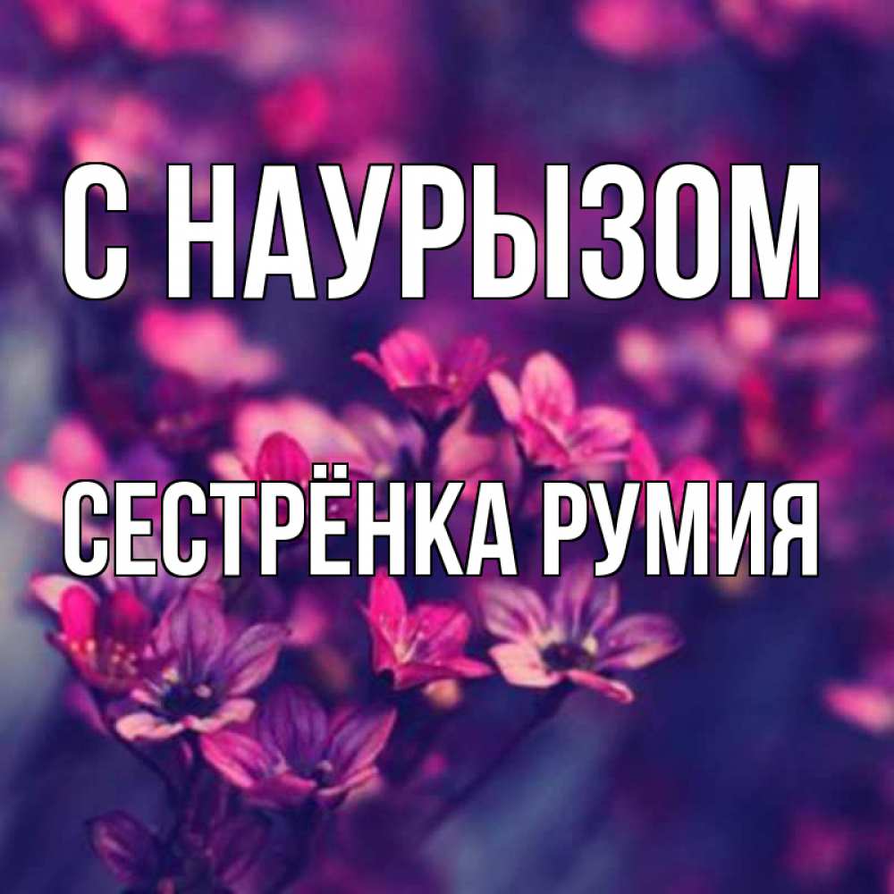 Открытка на каждый день с именем, Сестрёнка-Румия С наурызом небольшие цветы 1 Прикольная открытка с пожеланием онлайн скачать бесплатно 