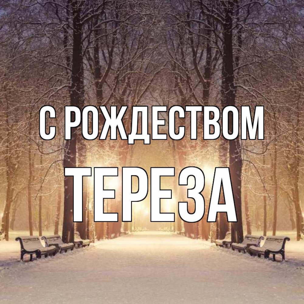 Открытка на каждый день с именем, Тереза С рождеством зима, парк, фонарь, лес Прикольная открытка с пожеланием онлайн скачать бесплатно 