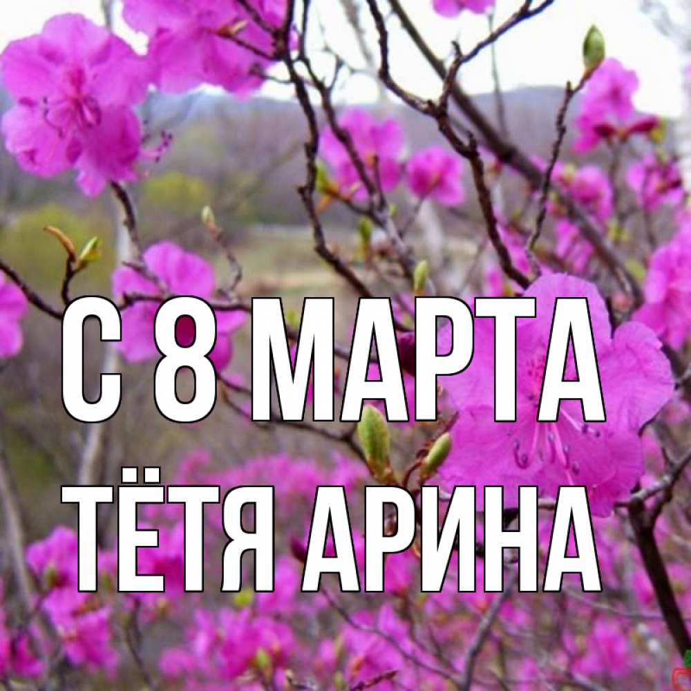 Открытка на каждый день с именем, Тётя-Арина С 8 МАРТА международный женский день Прикольная открытка с пожеланием онлайн скачать бесплатно 
