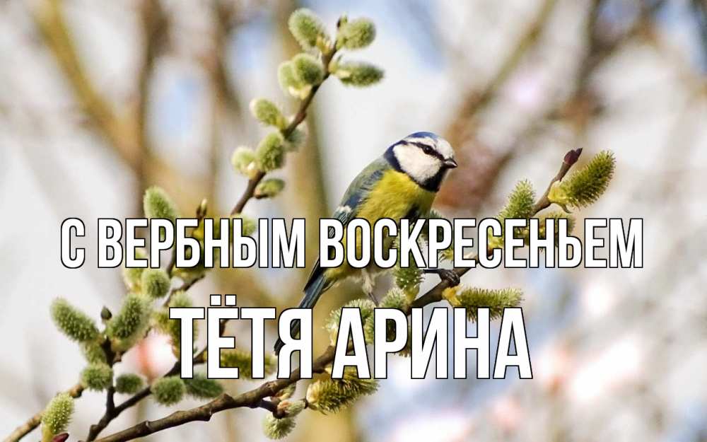 Открытка на каждый день с именем, Тётя-Арина С вербным воскресеньем верба Прикольная открытка с пожеланием онлайн скачать бесплатно 