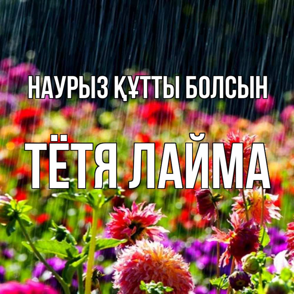 Открытка на каждый день с именем, Тётя-Лайма Наурыз құтты болсын цветы под дождиком к наурызу Прикольная открытка с пожеланием онлайн скачать бесплатно 