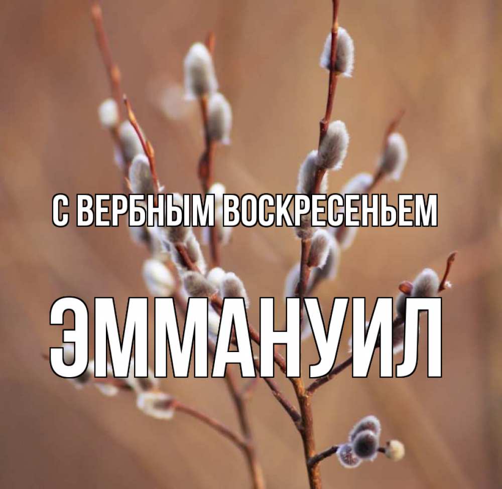 Открытка на каждый день с именем, Эммануил С вербным воскресеньем верба Прикольная открытка с пожеланием онлайн скачать бесплатно 