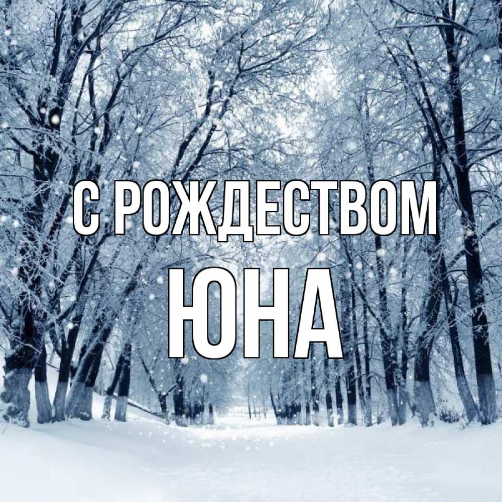 Открытка на каждый день с именем, Юна С рождеством снег, лес, парк Прикольная открытка с пожеланием онлайн скачать бесплатно 