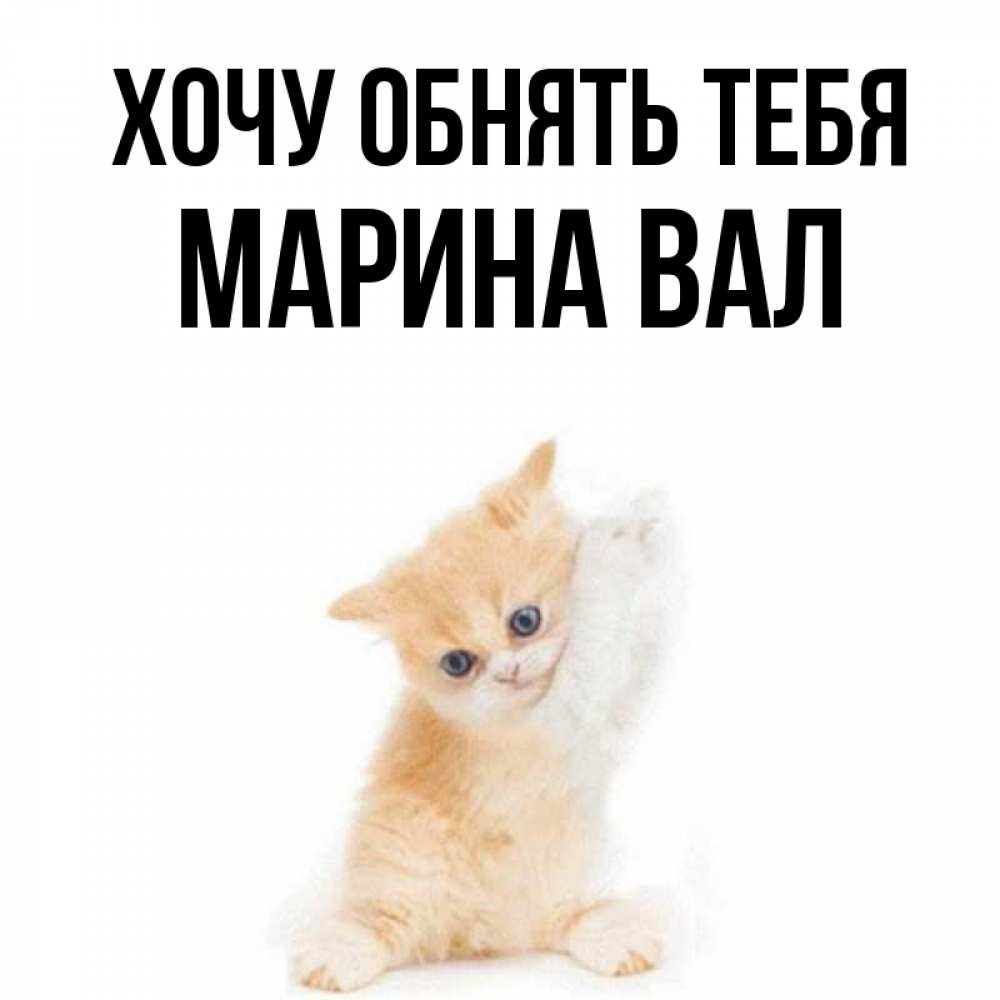 хочу вал. хочу рината. распределительный вал схема двигателя змз 53. распредвал киа рио 1. хочу вал.