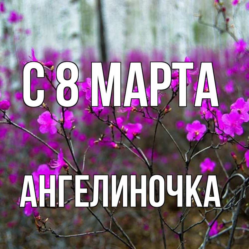Открытка на каждый день с именем, Ангелиночка С 8 марта дикие цветы Прикольная открытка с пожеланием онлайн скачать бесплатно 