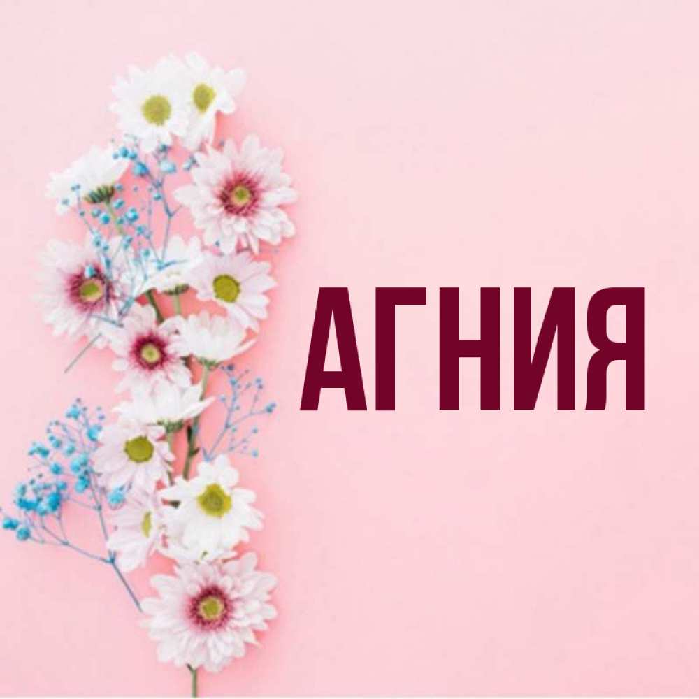 С днем рождения агния картинки