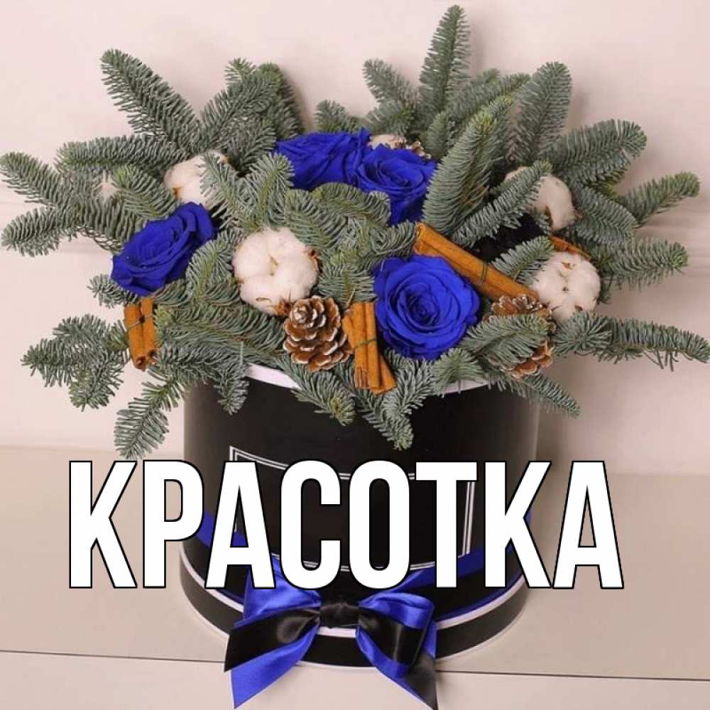 Открытка на каждый день с именем, красотка Главная короче кто то загрузил эти шишки Прикольная открытка с пожеланием онлайн скачать бесплатно 