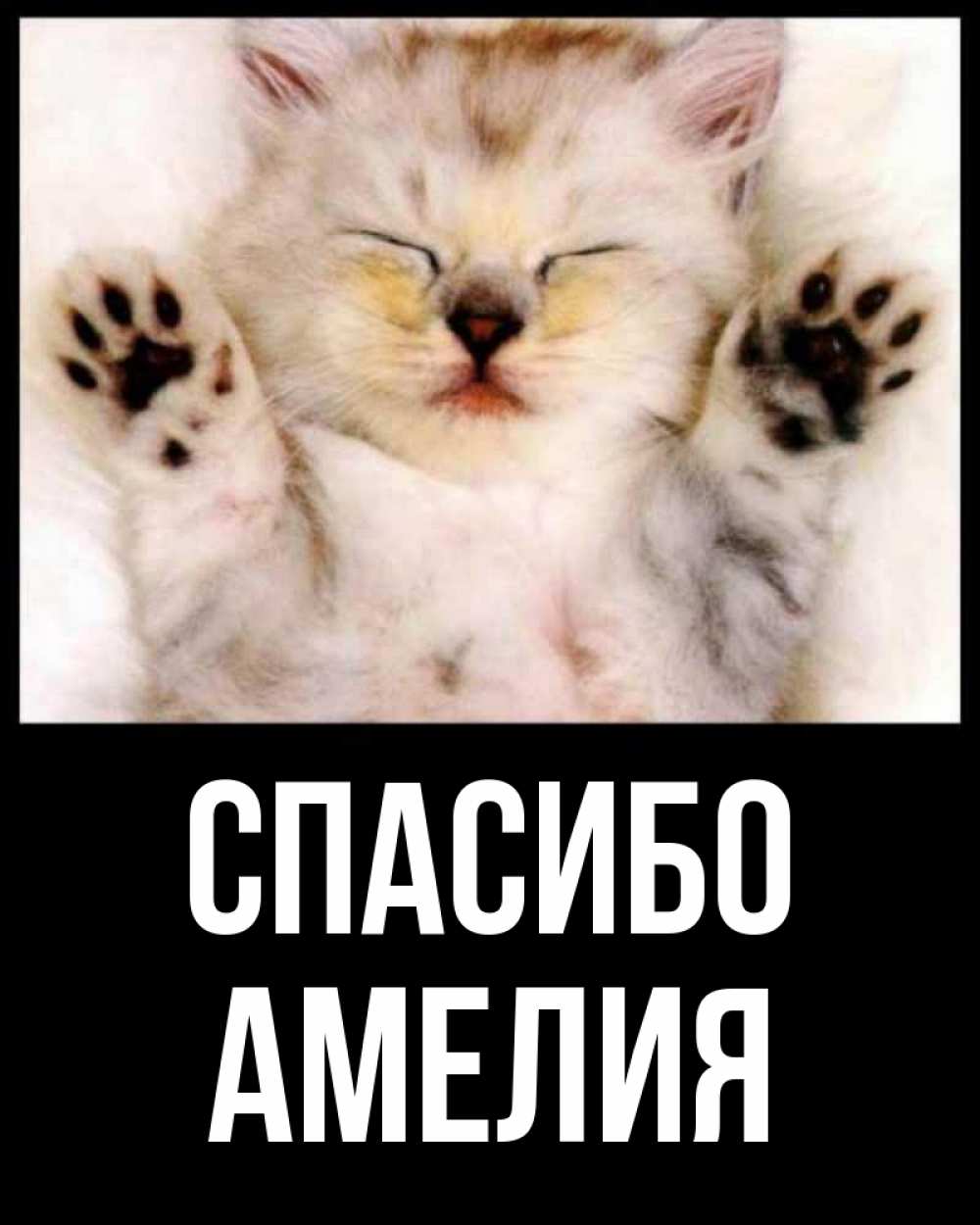 Открытка на каждый день с именем, Амелия Спасибо маленький котенок Прикольная открытка с пожеланием онлайн скачать бесплатно 