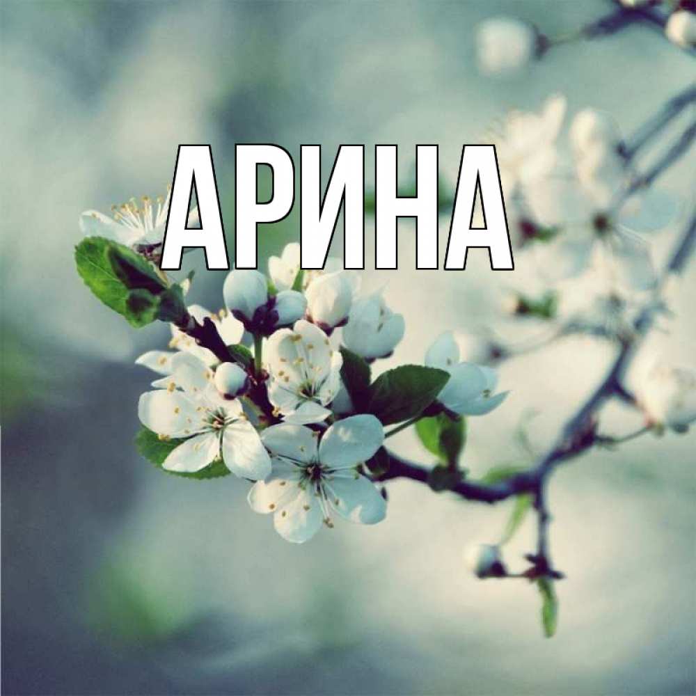 Открытка на каждый день с именем, Арина Главная яблоня в цвету 1 Прикольная открытка с пожеланием онлайн скачать бесплатно 