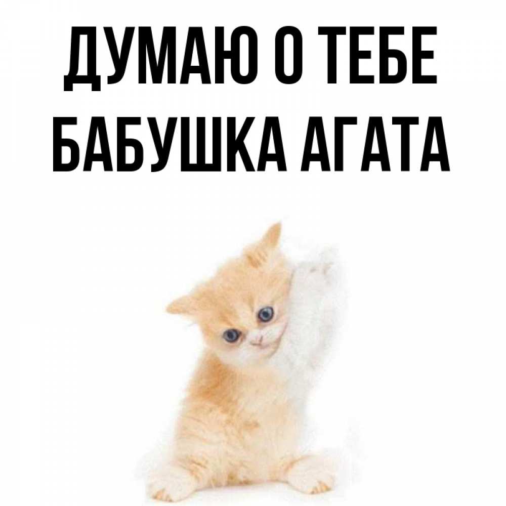 Открытка на каждый день с именем, Бабушка-Агата Думаю о тебе зверушки и милота Прикольная открытка с пожеланием онлайн скачать бесплатно 