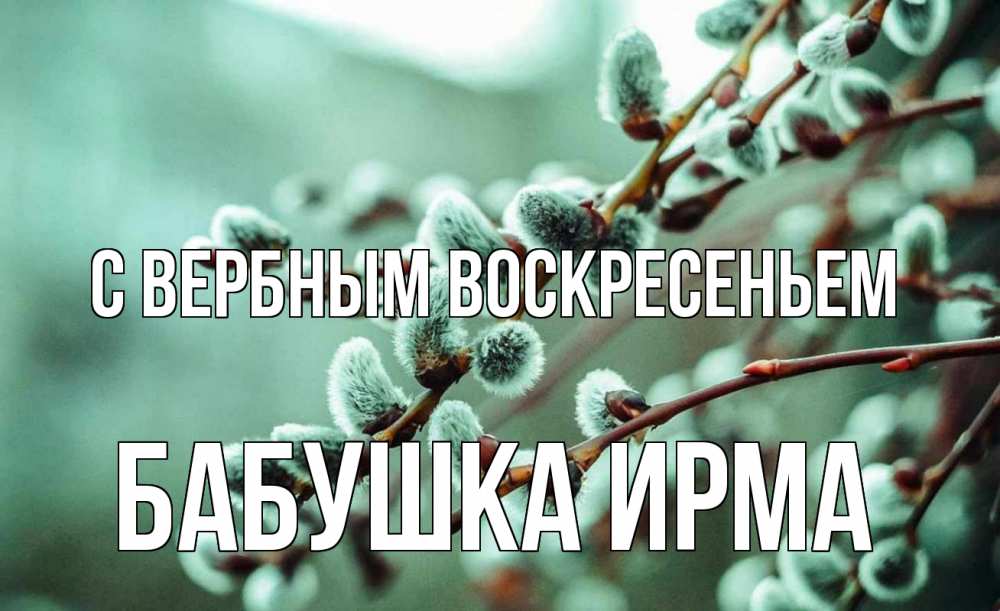 Открытка на каждый день с именем, Бабушка-Ирма С вербным воскресеньем верба Прикольная открытка с пожеланием онлайн скачать бесплатно 