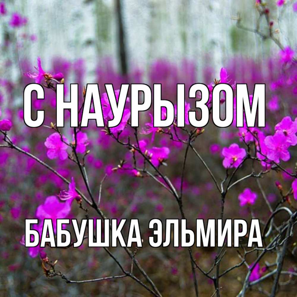 Открытка на каждый день с именем, Бабушка-Эльмира С наурызом дикие цветы Прикольная открытка с пожеланием онлайн скачать бесплатно 