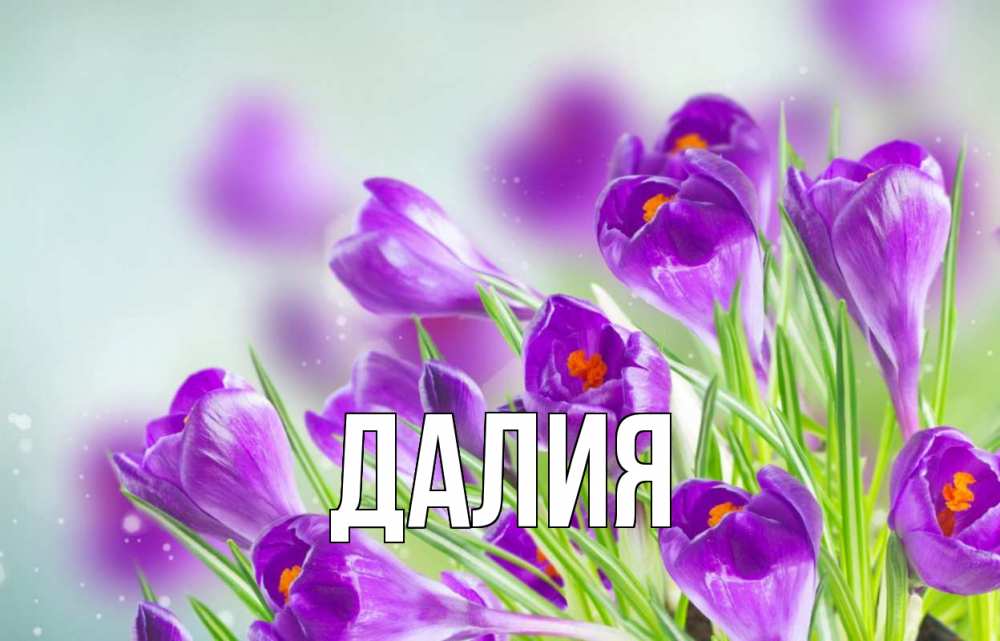Картинка  с именем , Далия