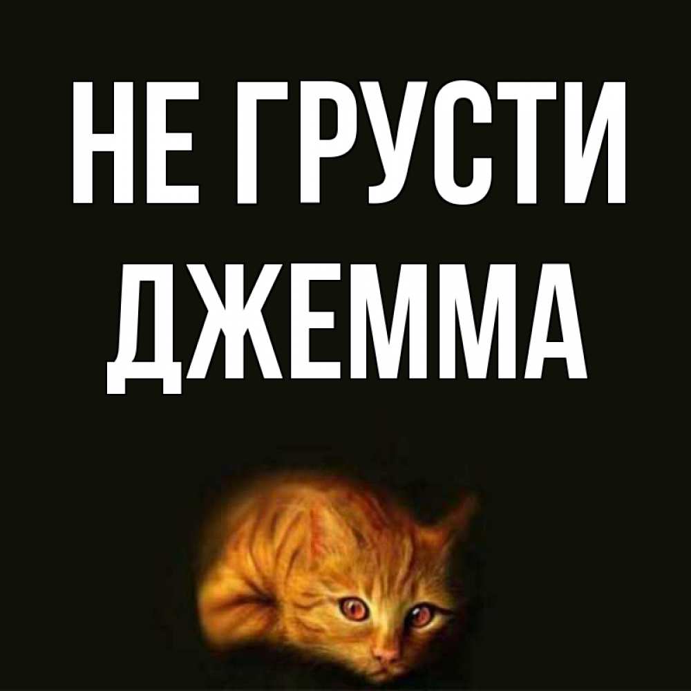 Открытка на каждый день с именем, Джемма Не грусти лежащий кот в темноте Прикольная открытка с пожеланием онлайн скачать бесплатно 