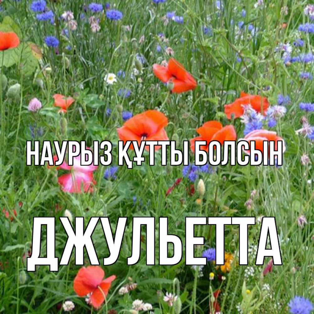 Открытка на каждый день с именем, Джульетта Наурыз құтты болсын наурыз  4 Прикольная открытка с пожеланием онлайн скачать бесплатно 