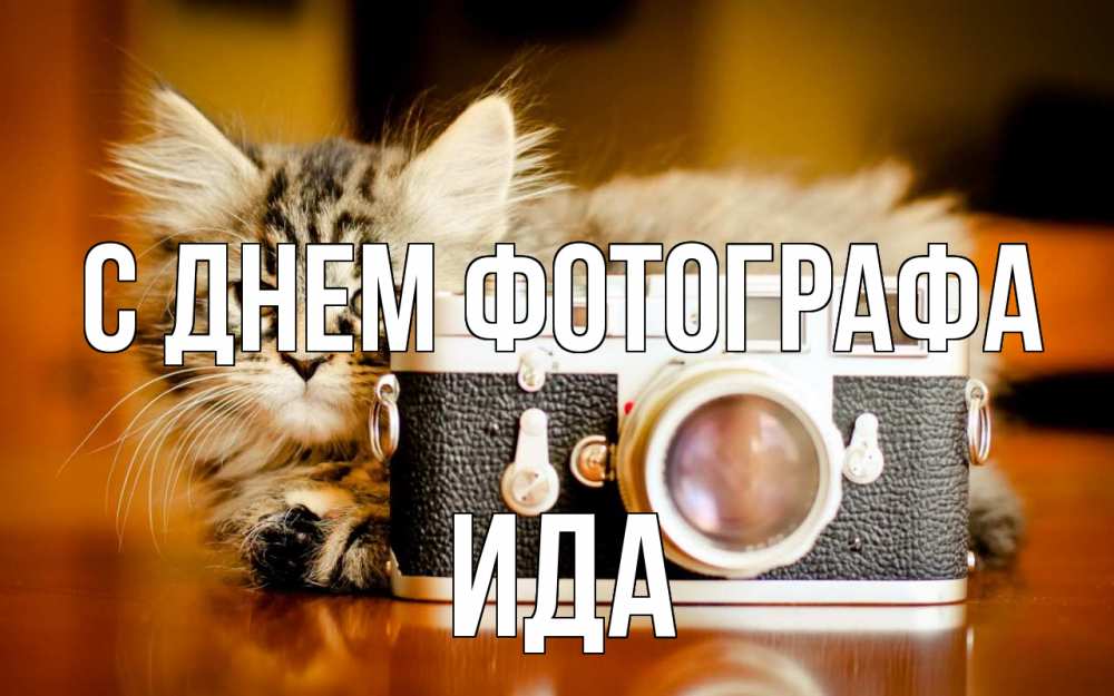 Открытка на каждый день с именем, Ида С днем фотографа с днем фотографа Прикольная открытка с пожеланием онлайн скачать бесплатно 