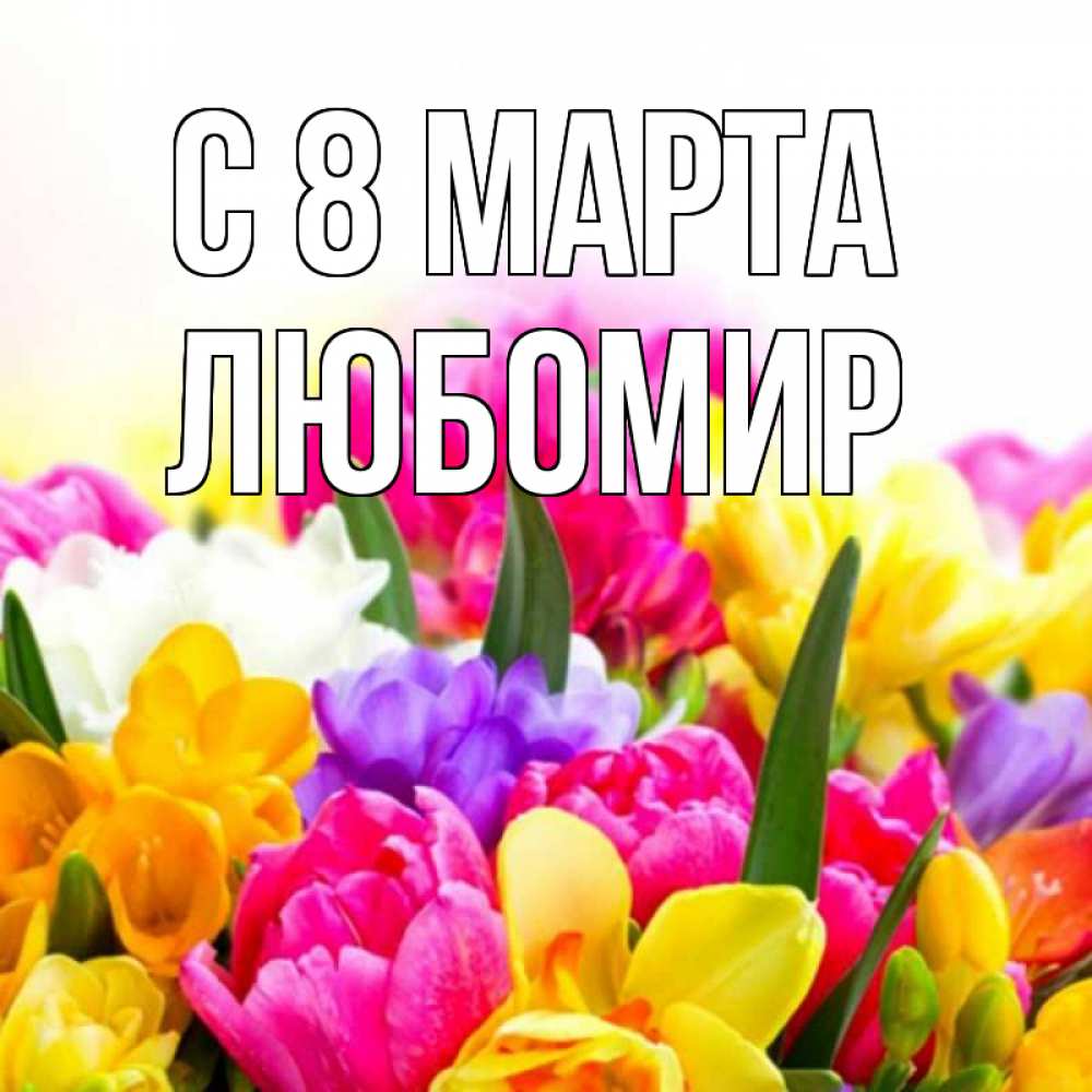 Открытка на каждый день с именем, Любомир С 8 МАРТА тюльпаны Прикольная открытка с пожеланием онлайн скачать бесплатно 