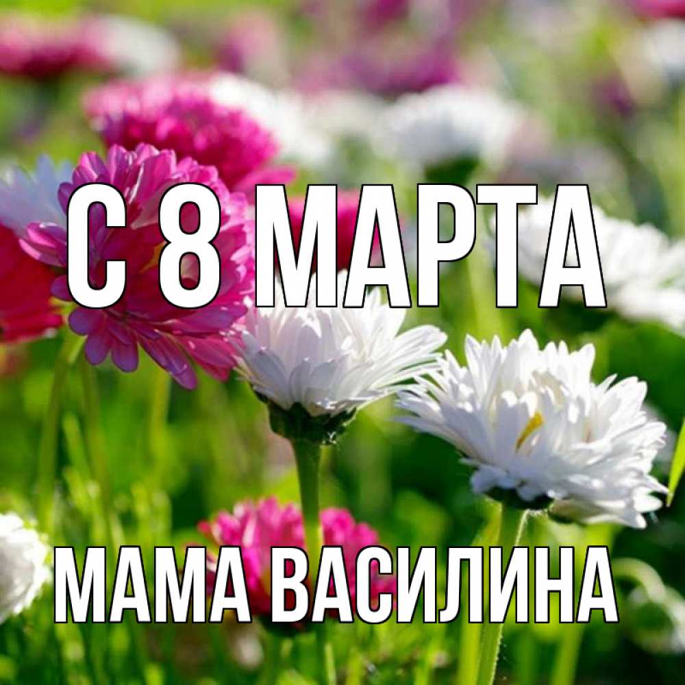 Открытка на каждый день с именем, Мама-Василина С 8 марта международный женский день 1 Прикольная открытка с пожеланием онлайн скачать бесплатно 