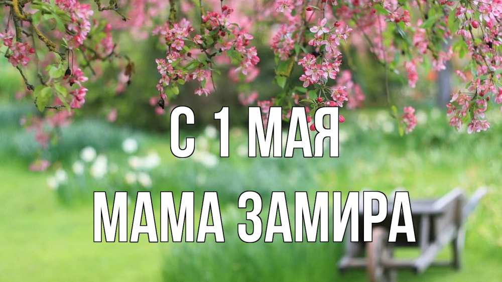 Открытка на каждый день с именем, Мама-Замира С 1 мая С 1 мая Прикольная открытка с пожеланием онлайн скачать бесплатно 