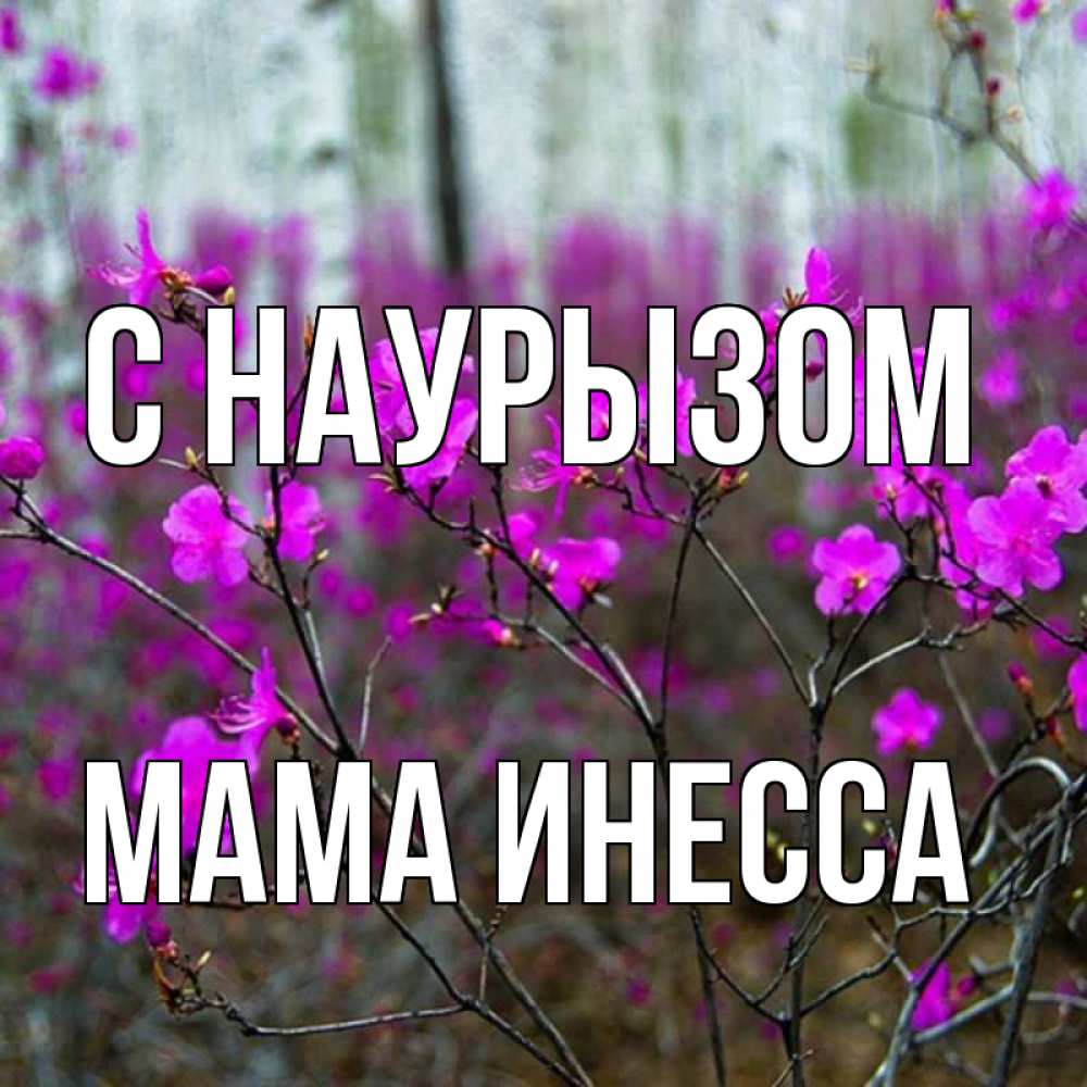 Открытка на каждый день с именем, Мама-Инесса С наурызом дикие цветы Прикольная открытка с пожеланием онлайн скачать бесплатно 