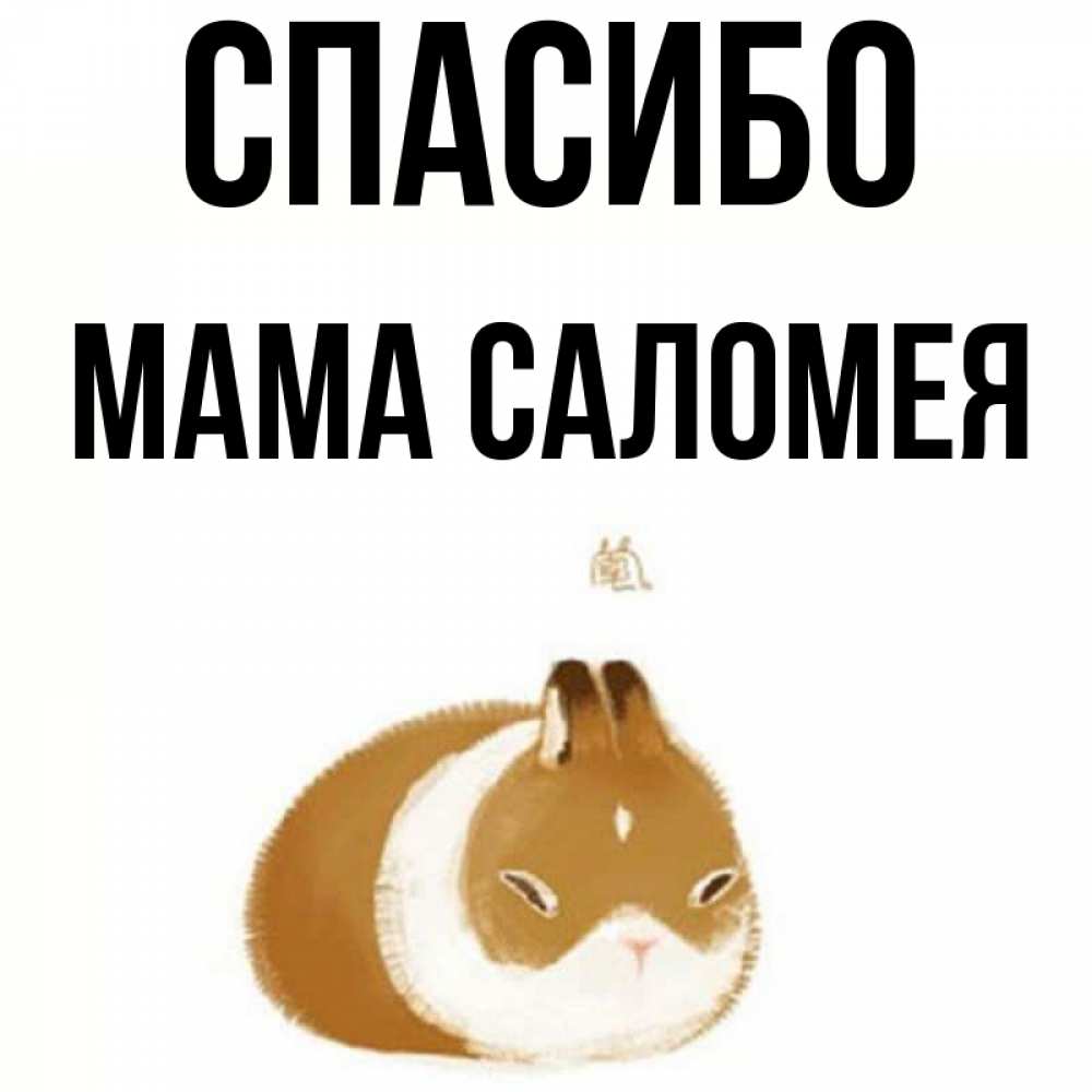 Открытка на каждый день с именем, Мама-Саломея Спасибо коричнево белый домашний питомец Прикольная открытка с пожеланием онлайн скачать бесплатно 