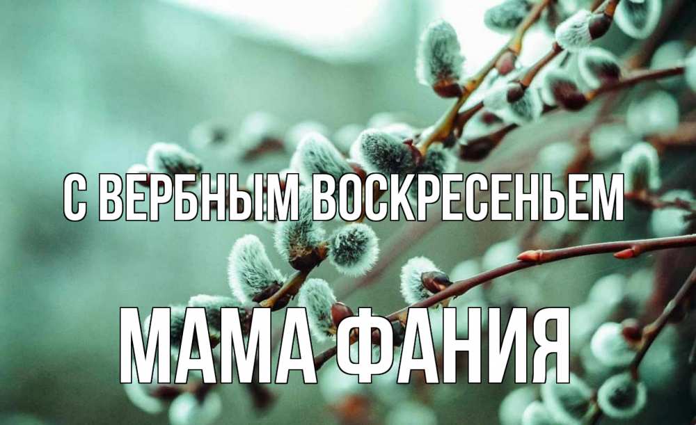 Открытка на каждый день с именем, Мама-Фания С вербным воскресеньем верба Прикольная открытка с пожеланием онлайн скачать бесплатно 