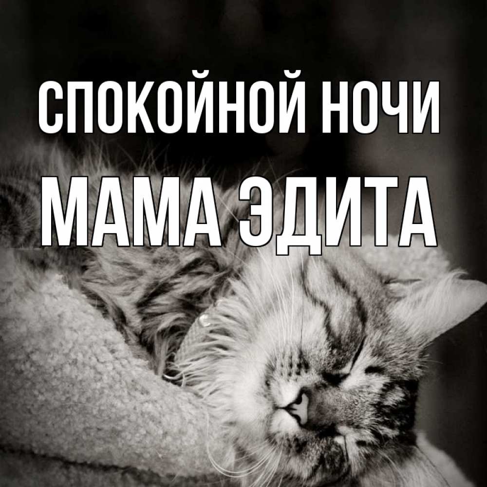 Открытка на каждый день с именем, Мама-Эдита Спокойной ночи котярик пушистый Прикольная открытка с пожеланием онлайн скачать бесплатно 