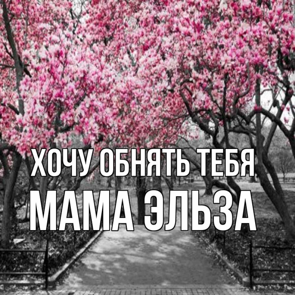 Открытка на каждый день с именем, Мама-Эльза Хочу обнять тебя обработанное фото Прикольная открытка с пожеланием онлайн скачать бесплатно 