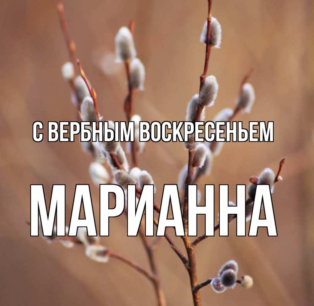 Открытка на каждый день с именем, Марианна С вербным воскресеньем верба Прикольная открытка с пожеланием онлайн скачать бесплатно 