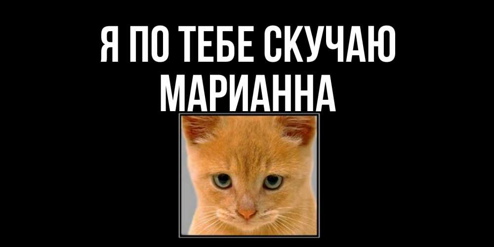 Открытка на каждый день с именем, Марианна Я по тебе скучаю открытки рыжий котенок скучает по тебе Прикольная открытка с пожеланием онлайн скачать бесплатно 