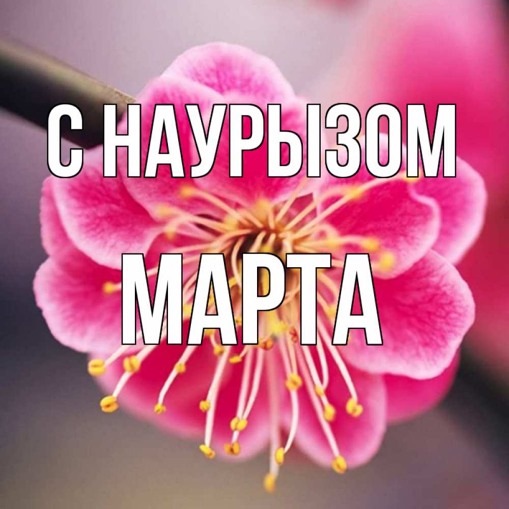 Открытка на каждый день с именем, Марта С наурызом цветы Прикольная открытка с пожеланием онлайн скачать бесплатно 