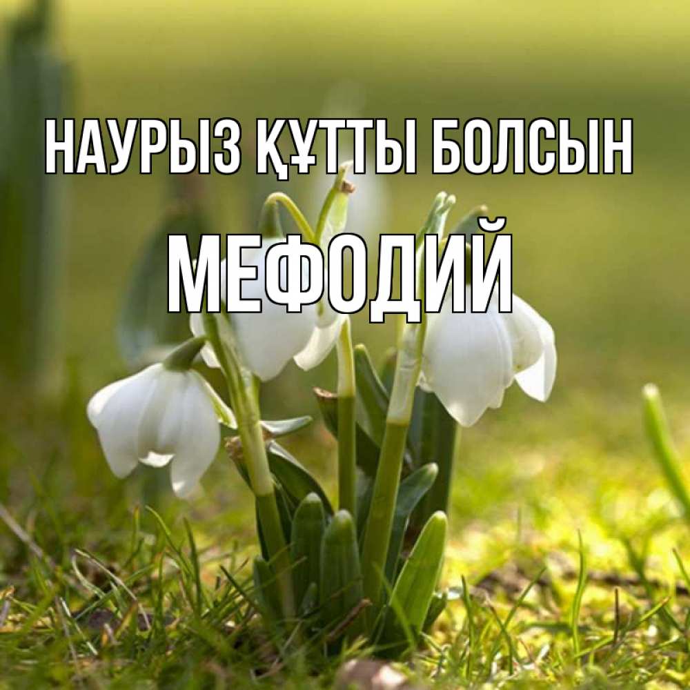 Открытка на каждый день с именем, Мефодий Наурыз құтты болсын ранние цветы 2 Прикольная открытка с пожеланием онлайн скачать бесплатно 