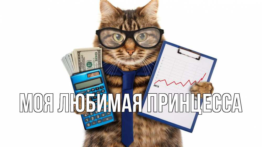 Открытка на каждый день с именем, Моя-Любимая-Принцесса Главная с днем бухгалтера Прикольная открытка с пожеланием онлайн скачать бесплатно 