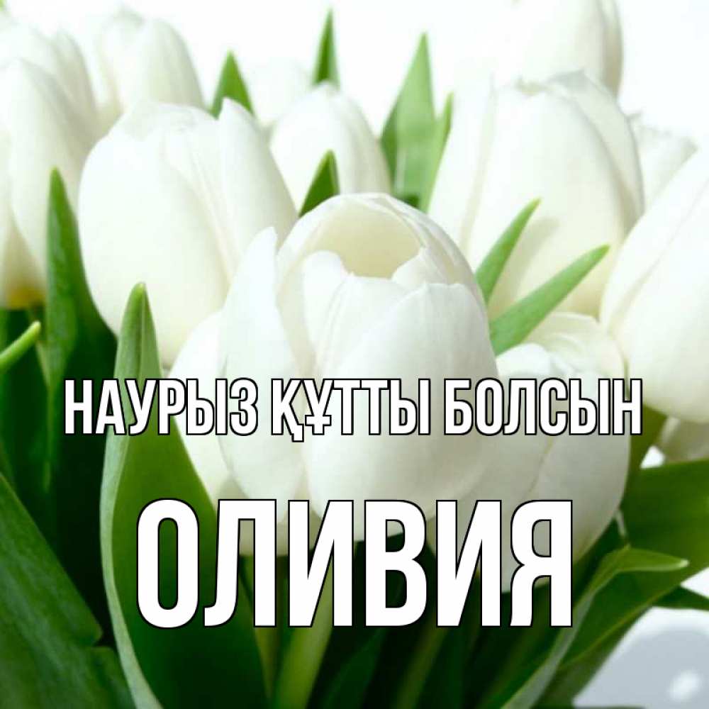Открытка на каждый день с именем, Оливия Наурыз құтты болсын цветы Прикольная открытка с пожеланием онлайн скачать бесплатно 