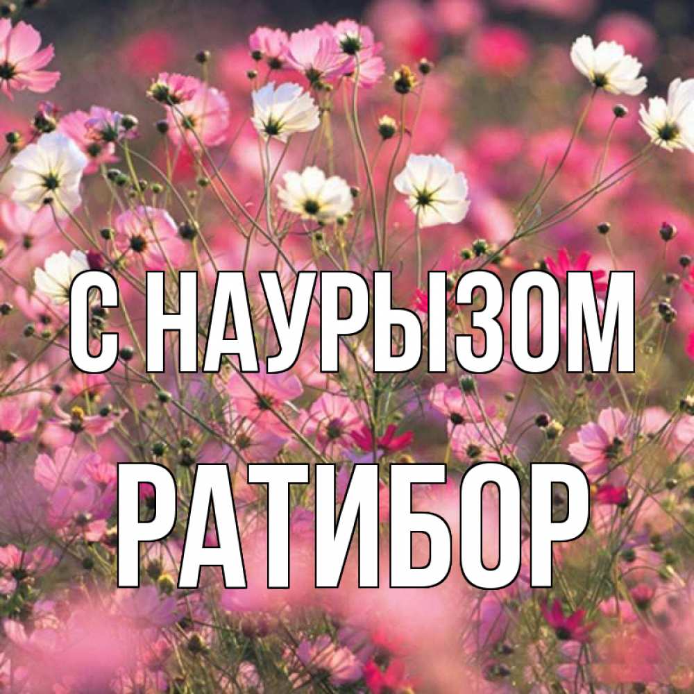 Открытка на каждый день с именем, Ратибор С наурызом красиво 1 Прикольная открытка с пожеланием онлайн скачать бесплатно 