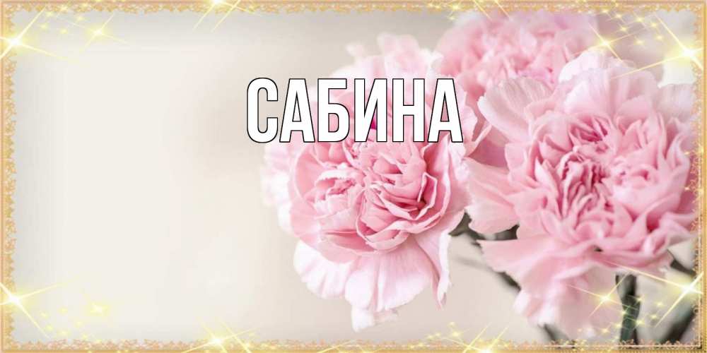 Открытка на каждый день с именем, Сабина Главная открытка с розовыми цветами в рамочке с подписью праздник весны наурыз Прикольная открытка с пожеланием онлайн скачать бесплатно 
