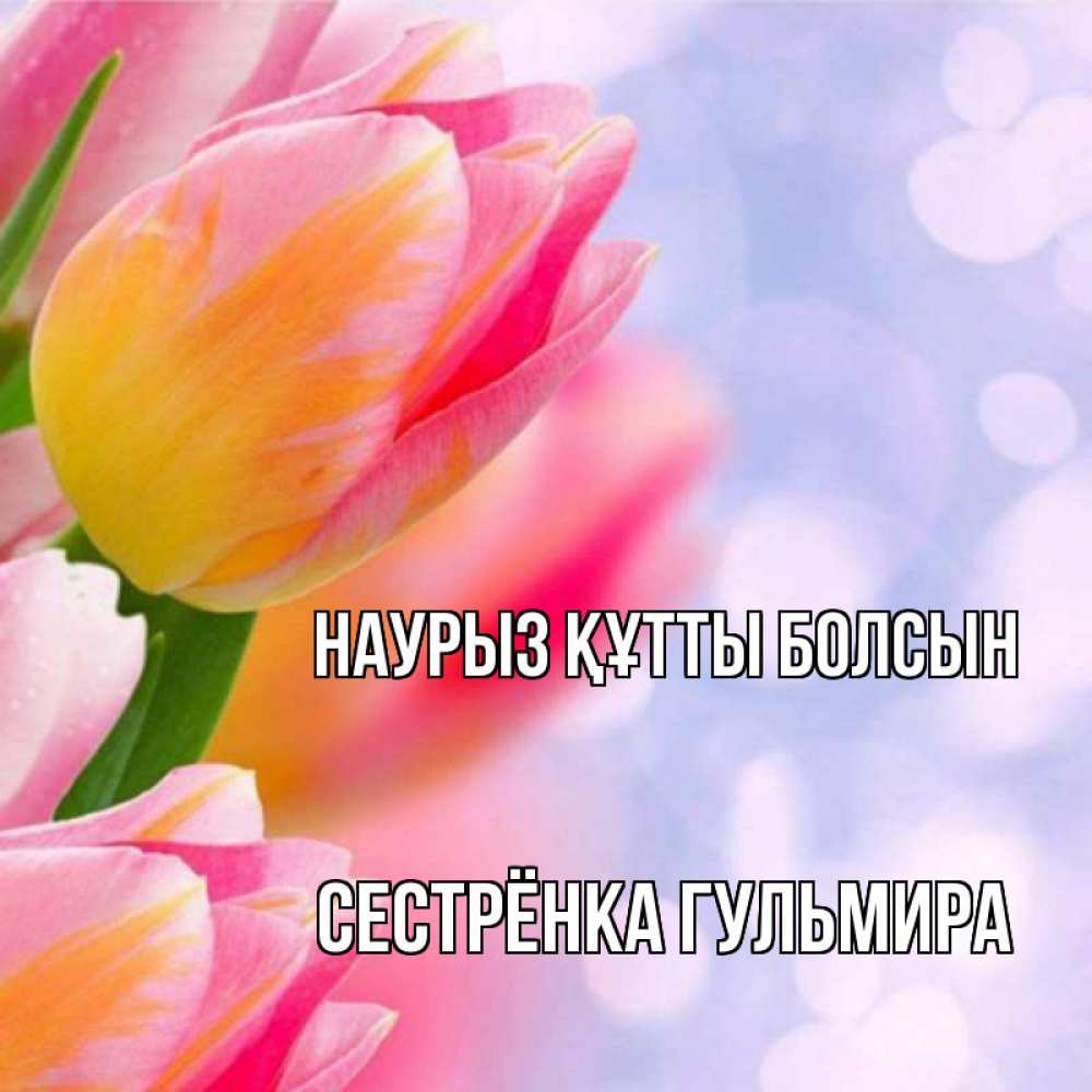 Открытка на каждый день с именем, Сестрёнка-Гульмира Наурыз құтты болсын тюльпаны 2 Прикольная открытка с пожеланием онлайн скачать бесплатно 