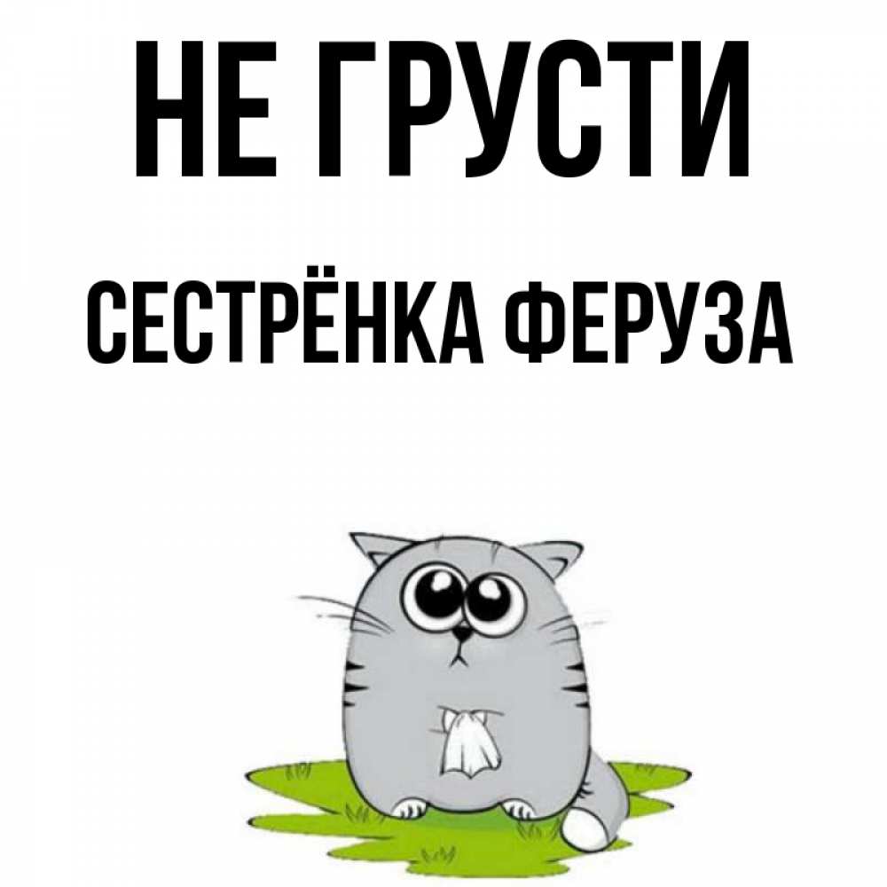 Открытка на каждый день с именем, Сестрёнка-Феруза Не грусти грустный котяра Прикольная открытка с пожеланием онлайн скачать бесплатно 