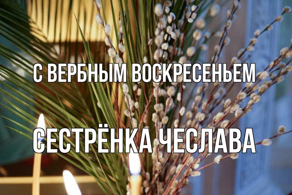 Открытка на каждый день с именем, Сестрёнка-Чеслава С вербным воскресеньем верба Прикольная открытка с пожеланием онлайн скачать бесплатно 