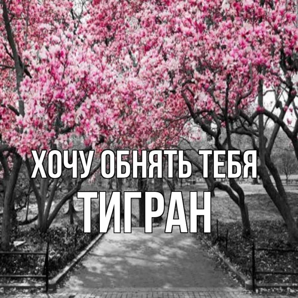 Открытка на каждый день с именем, Тигран Хочу обнять тебя обработанное фото Прикольная открытка с пожеланием онлайн скачать бесплатно 