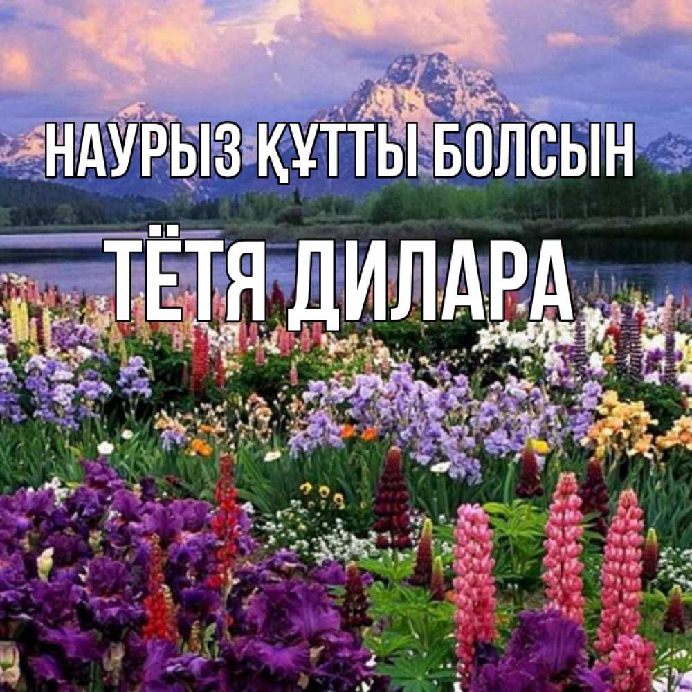 Открытка на каждый день с именем, Тётя-Дилара Наурыз құтты болсын наурыз Прикольная открытка с пожеланием онлайн скачать бесплатно 
