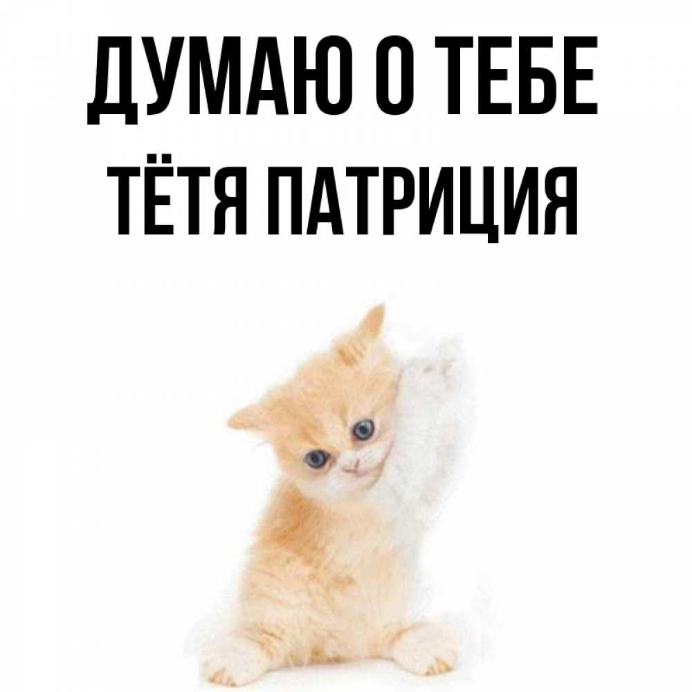 Открытка на каждый день с именем, Тётя-Патриция Думаю о тебе зверушки и милота Прикольная открытка с пожеланием онлайн скачать бесплатно 