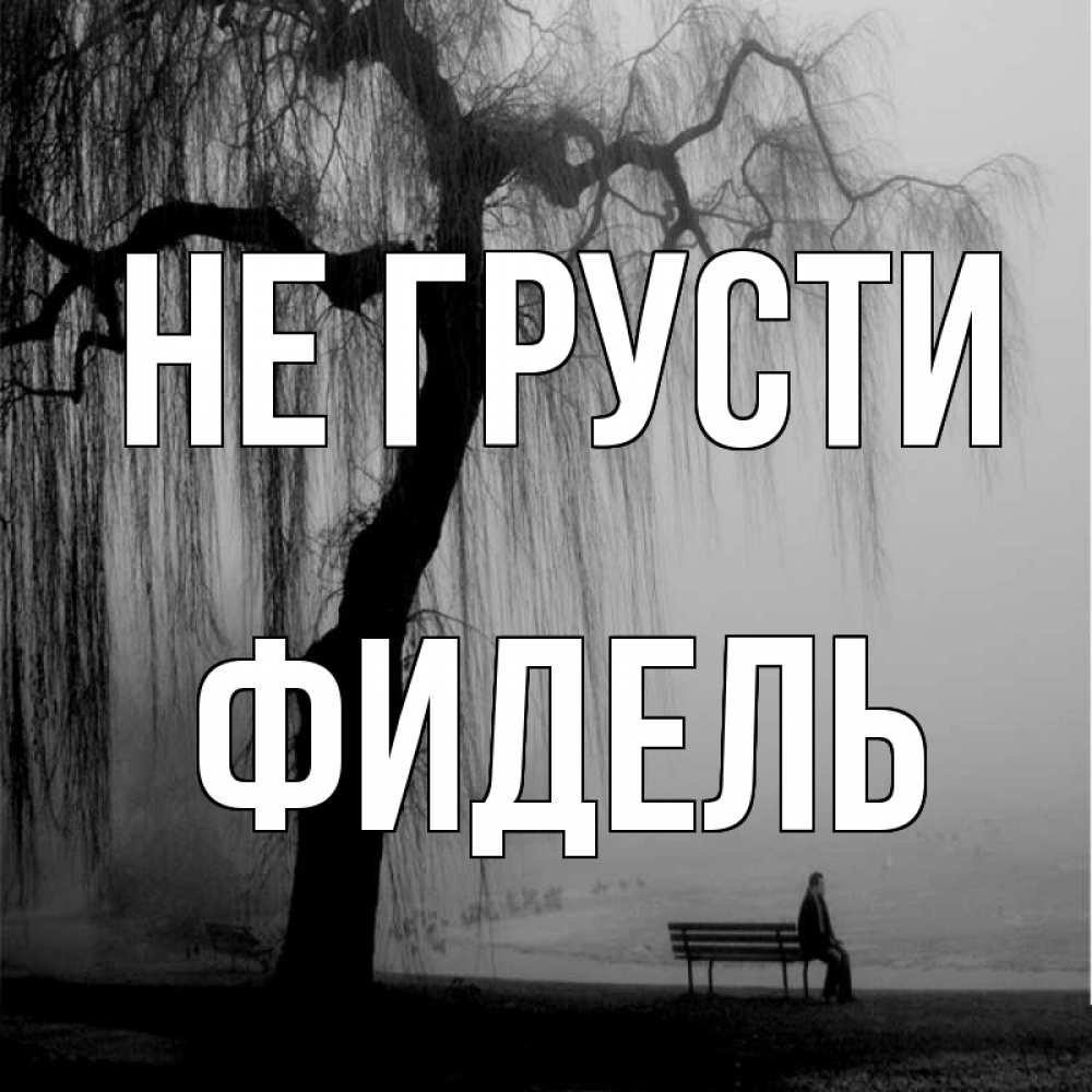 Открытка на каждый день с именем, Фидель Не грусти висящие ветки дерева и лавочка под деревом Прикольная открытка с пожеланием онлайн скачать бесплатно 