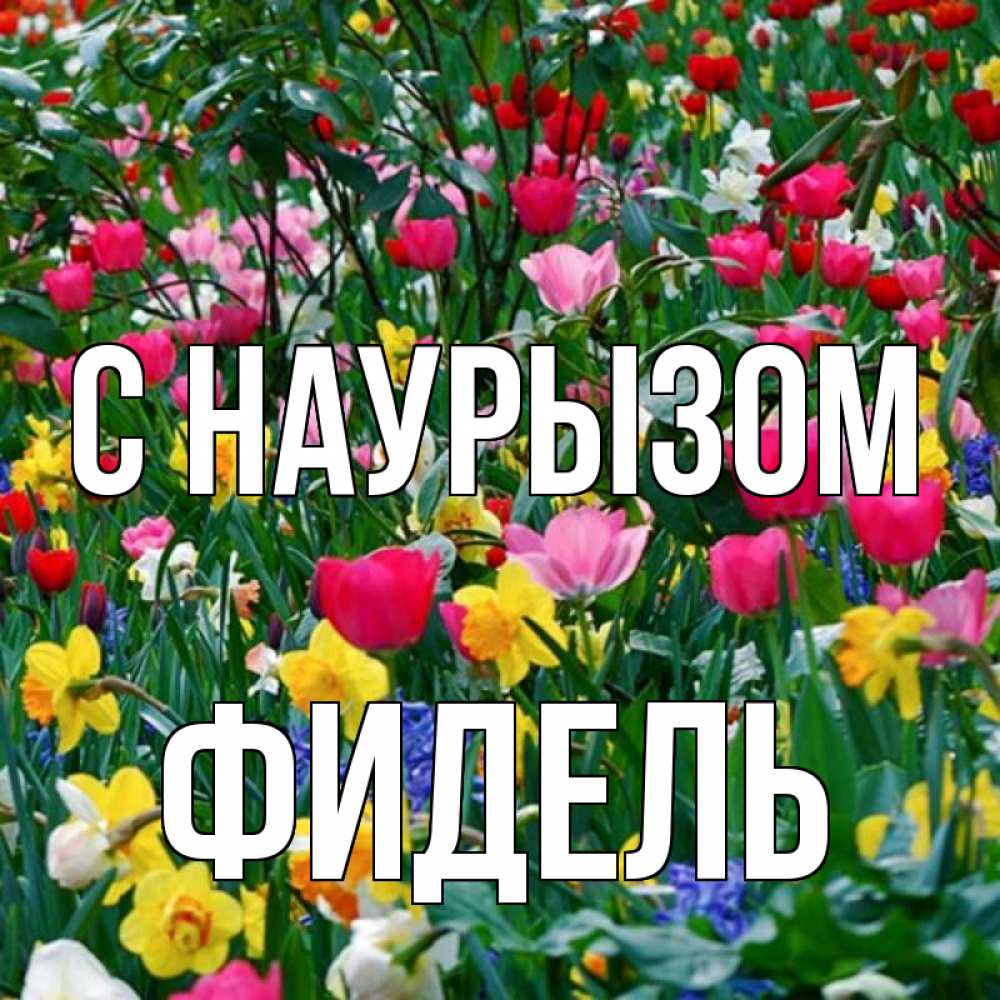 Открытка на каждый день с именем, Фидель С наурызом с наурызом праздником весны поздравления для женщины Прикольная открытка с пожеланием онлайн скачать бесплатно 