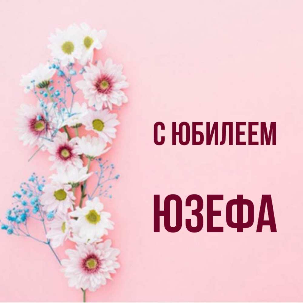 Открытка на каждый день с именем, Юзефа С юбилеем Родная моя с днем рождения тебя картинка с цветами белыми и голубыми Прикольная открытка с пожеланием онлайн скачать бесплатно 