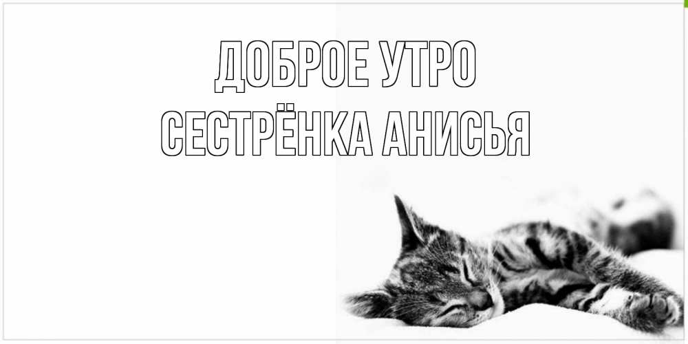 Открытка на каждый день с именем, Сестрёнка-Анисья Доброе утро котуся Прикольная открытка с пожеланием онлайн скачать бесплатно 